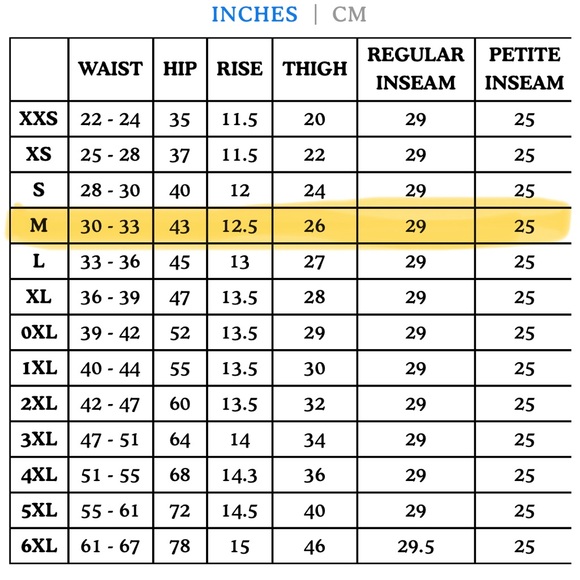 Big Bud Press Work Pants in Spicy Mustard - Picture 12 of 12